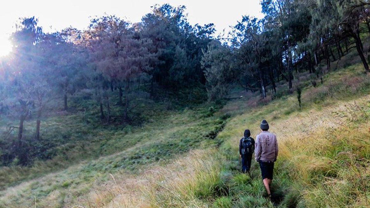 PUNGLI JALUR PENDAKIAN - Pos V Bulak Peperangan Pendakian Gunung Lawu via Candi Cetho.