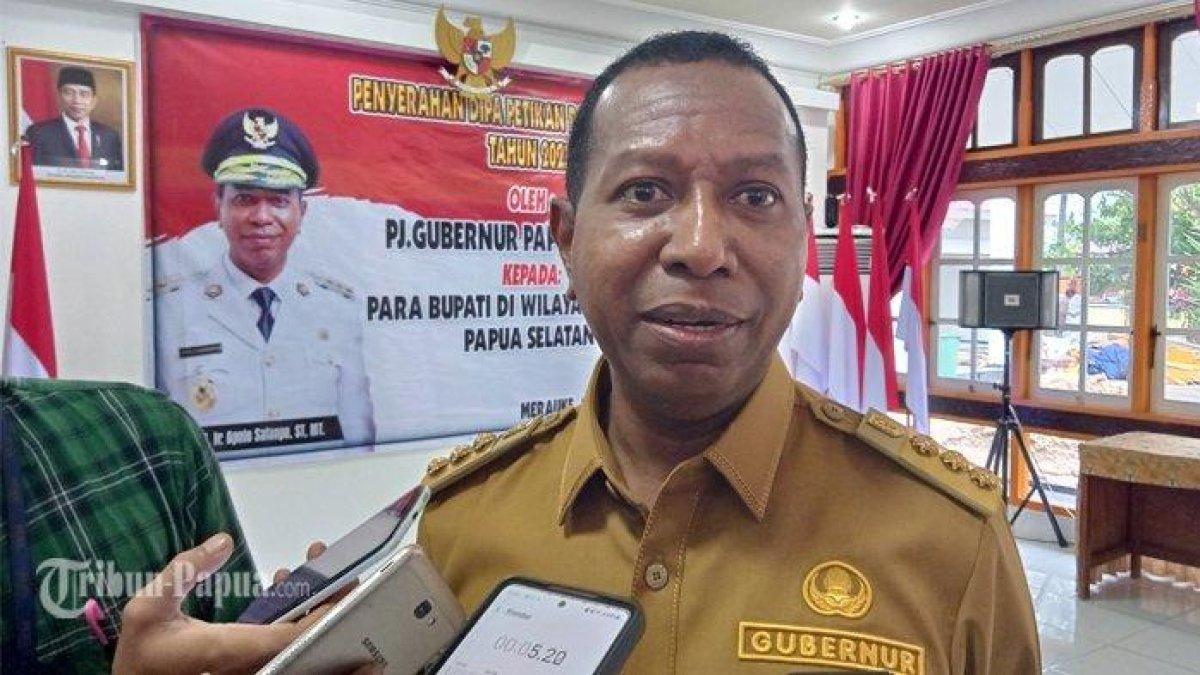 GUBERNUR PAPUA SELATAN - Potret Apolo Safanpo gubernur Papua Selatan 2025 diunduh dari dokumen Tribun Papua (14/3/2025). Apolo Safanpo merupakan pemenang Pilkada Papua Selatan 2024.