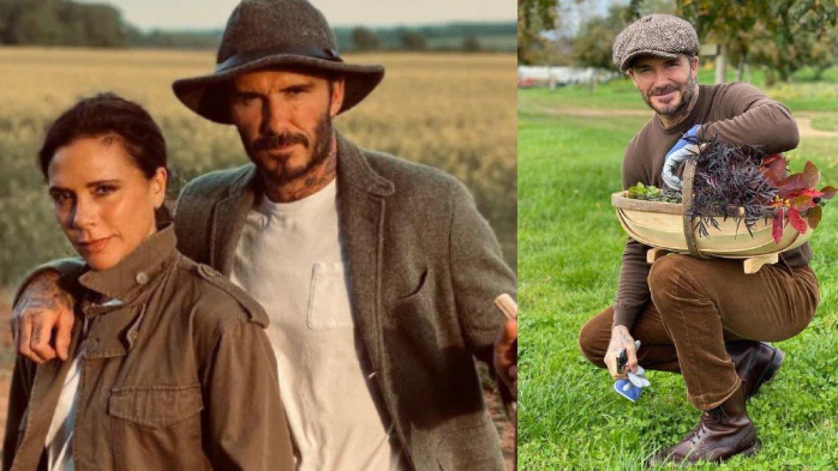Potret David Beckham banting stir menjadi petani hingga peternak ayam di rumahnya bersama anaknya, Harper Beckham.