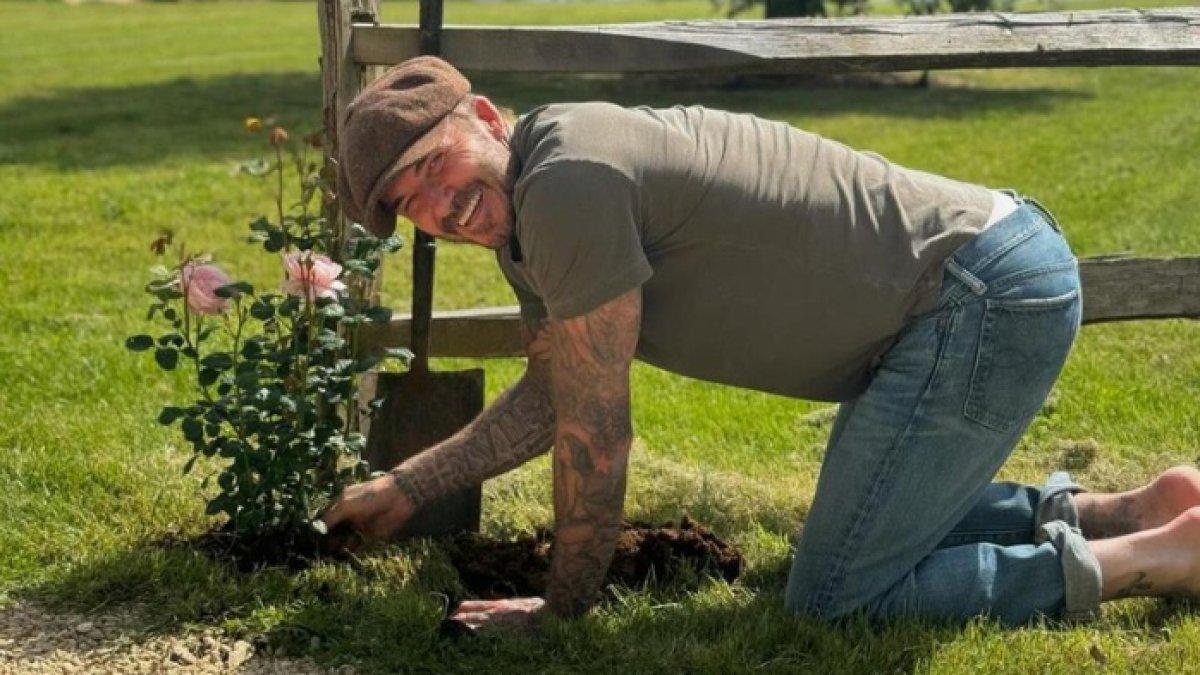 Potret David Beckham banting stir menjadi petani hingga peternak ayam di rumahnya bersama anaknya, Harper Beckham.