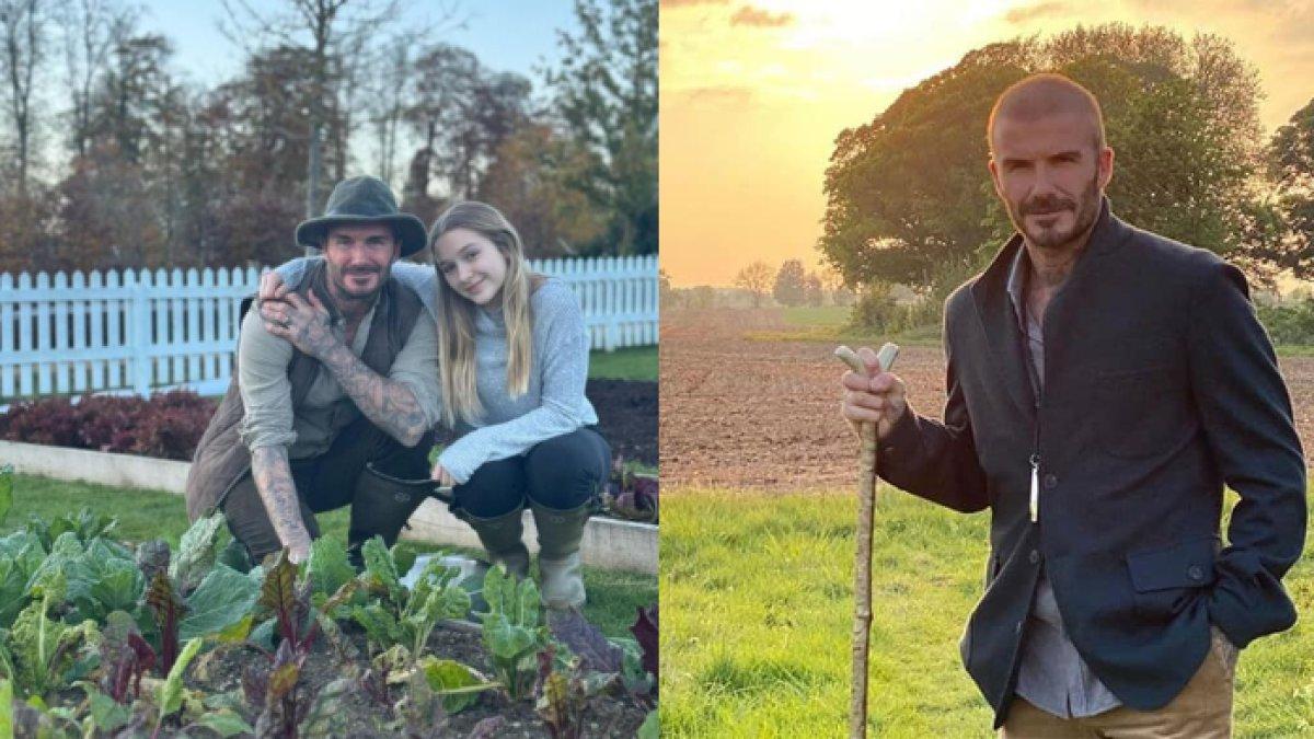 Potret David Beckham banting stir menjadi petani hingga peternak ayam di rumahnya bersama anaknya, Harper Beckham.