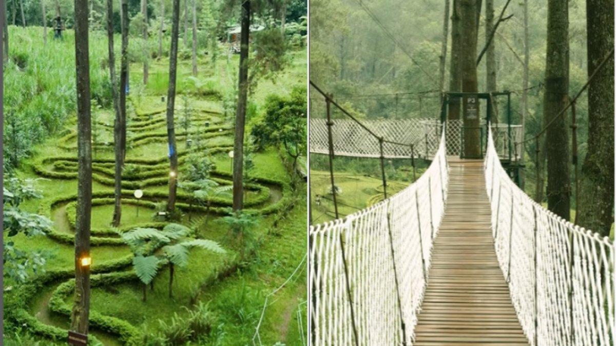 WISATA ALAM - Potret Orchid Forest Cikole diambil dari Instagram pada Kamis (24/4/2025). Orchid Forest Cikole berada di Lembang, Bandung Barat.