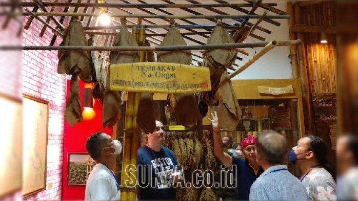 WISATA JEMBER - Potret Tembakau Na-Oogst disadur dari Surya.co.id pada Kamis (27/3/2025). Museum Tembakau ada di Jember, Jawa Timur.