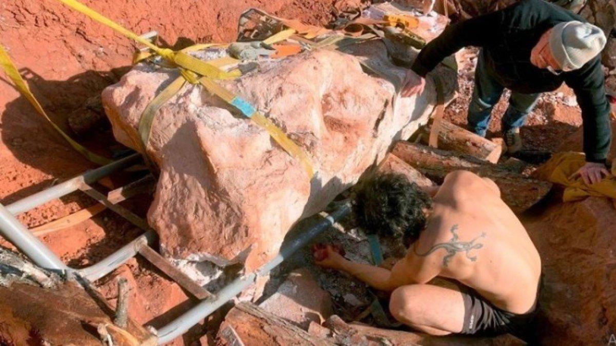 Pria Prancis ini temukan fosil besar berusia 70 juta tahun