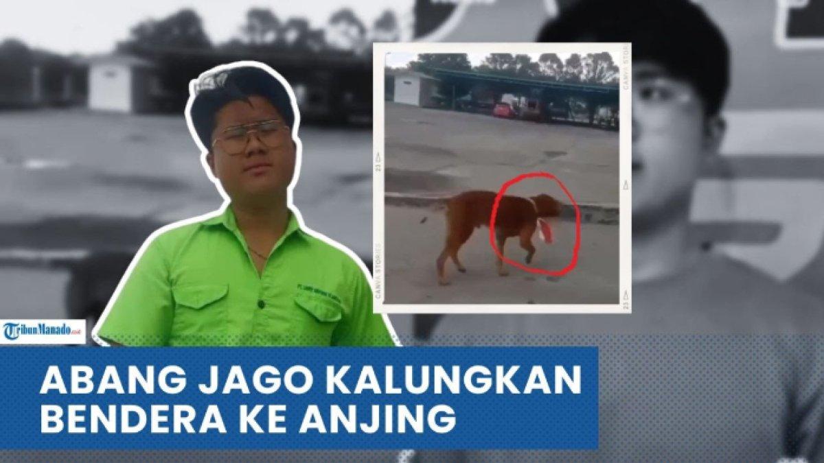 Pria di Riau nekat memasangkan bendera merah putih di leher anjingnya,