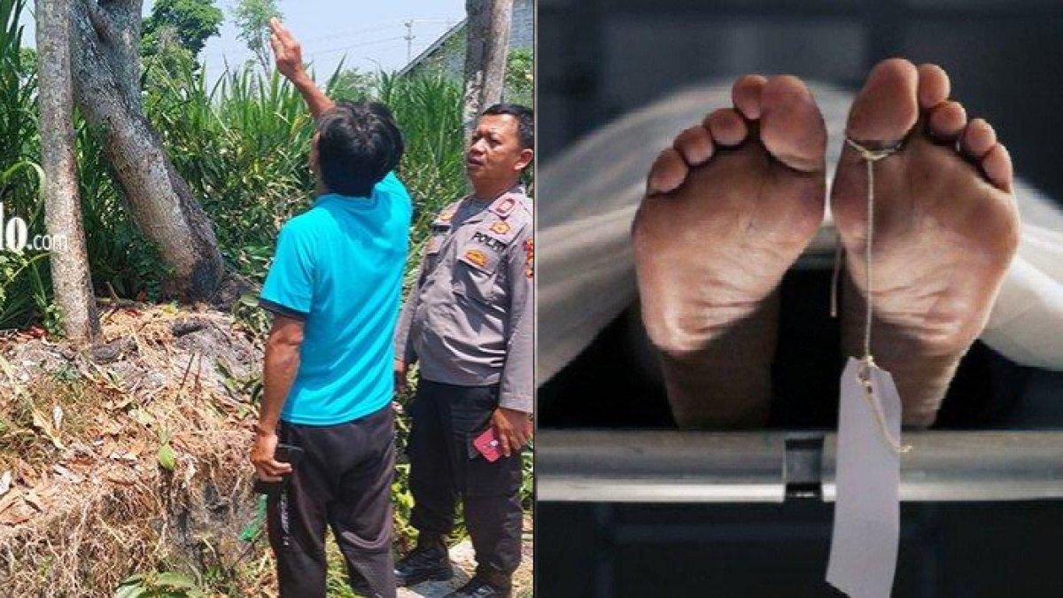 Pria di Sragen tewas tersetrum saat panen mangga
