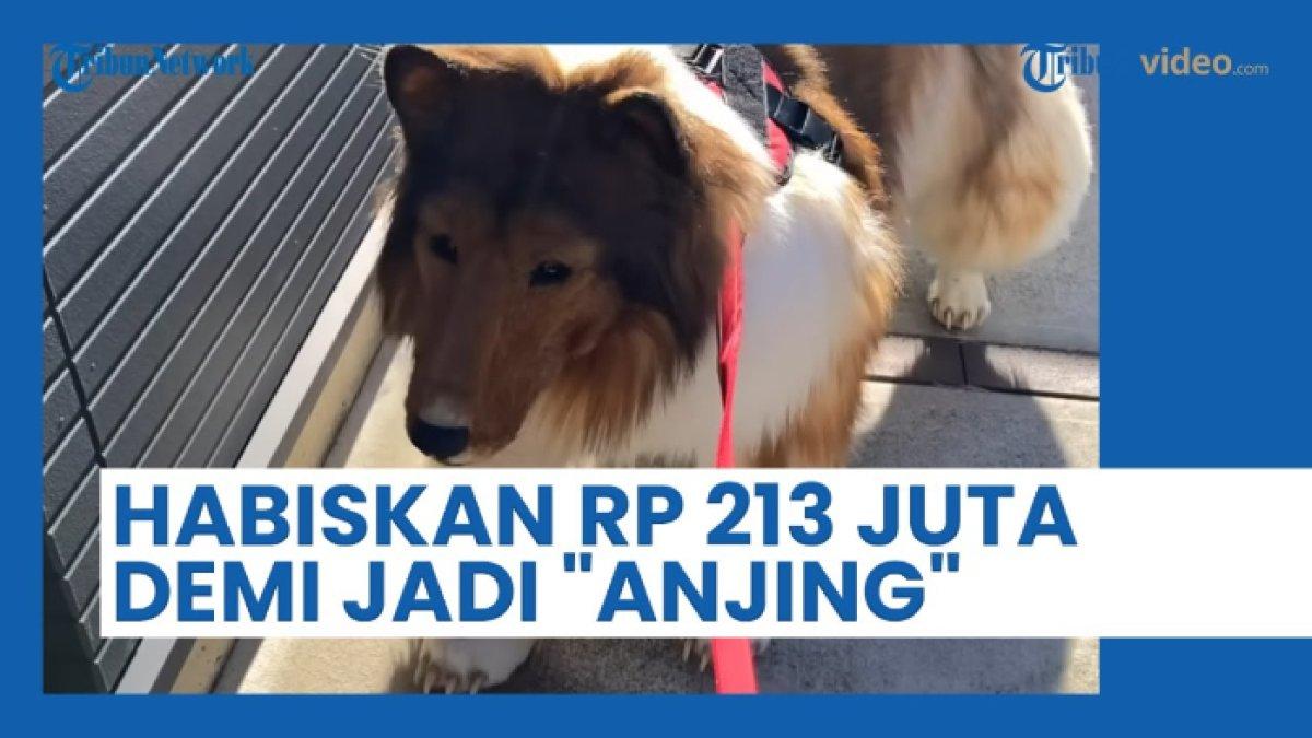 Pria ini rogoh kocek ratusan juta untuk cosplay menjadi anjing, sudah bercita-cita sejak kecil menjadi anjing, kini dicemooh