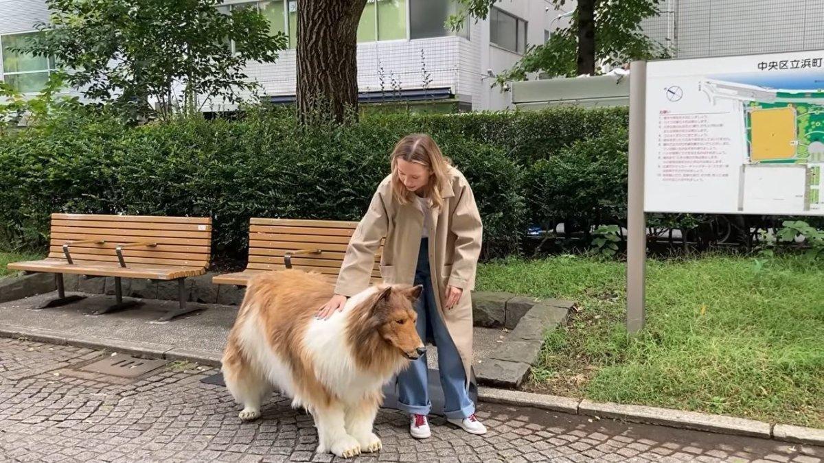 Pria ini rogoh kocek ratusan juta untuk cosplay menjadi anjing, sudah bercita-cita sejak kecil menjadi anjing, kini dicemooh