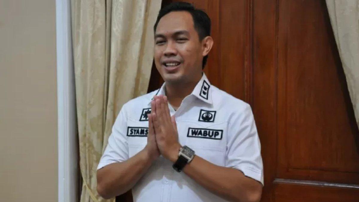 Profil dan kekayaan Syamsul Aulia Rachman.
