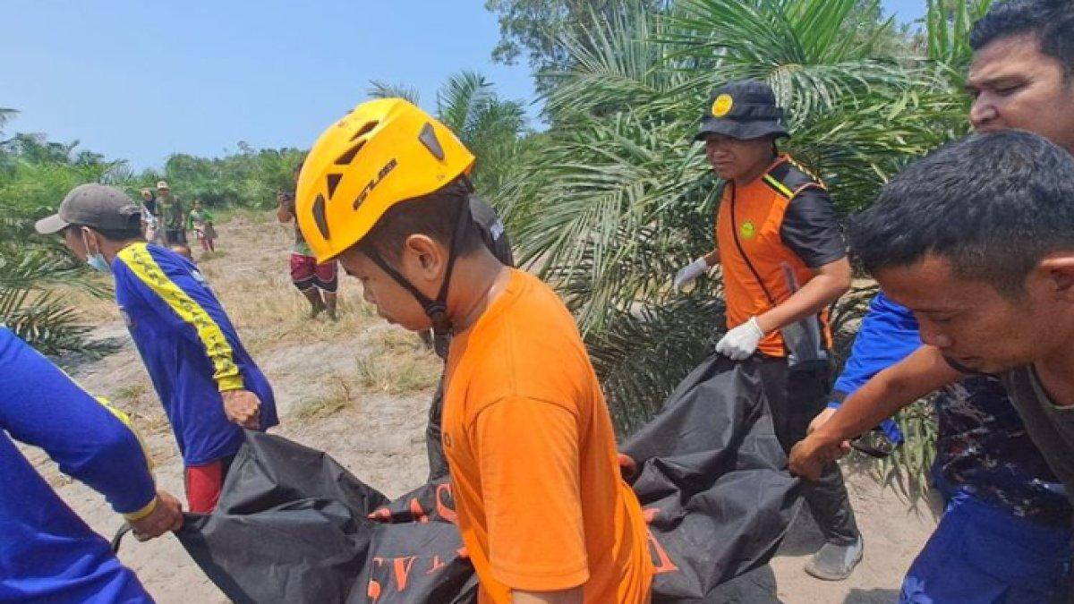 Proses evakuasi jasad bocah diterkam buaya di Bangka berlangsung dramatis