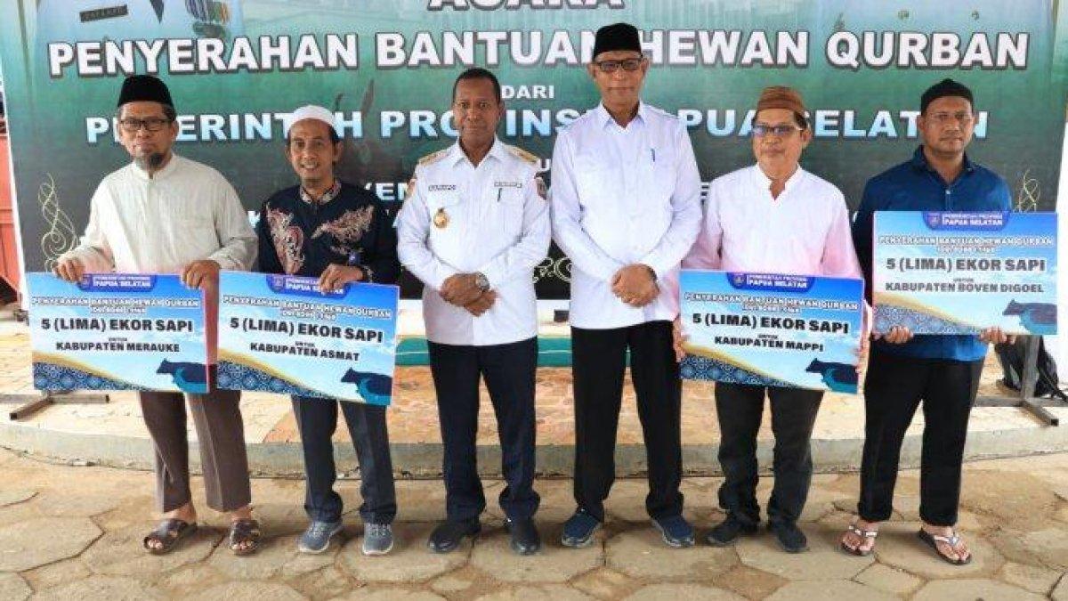 100 HARI KERJA - Pemerintah Provinsi Papua Selatan menyalurkan sebanyak 44 ekor sapi kurban pada Jumat, (23/5/2025). Penyerahan secara simbolis dilakukan oleh Gubernur Papua Selatan Apolo Safanpo kepada MUI 4 kabupaten.
