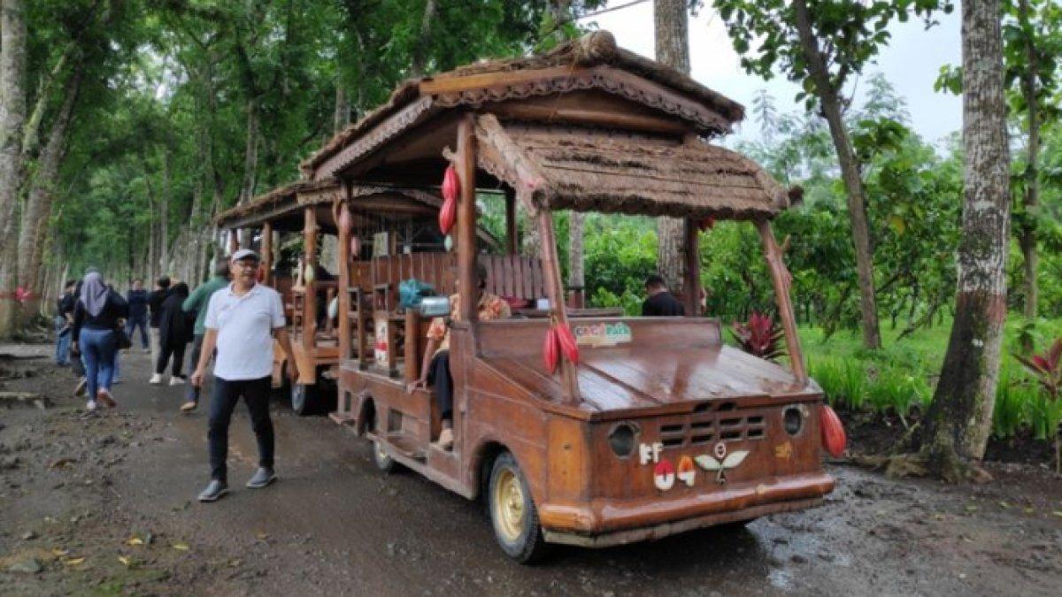 WISATA ALAM - Potret mobil gandeng di Pusat Penelitian Kopi dan Kakao Jember disadur dari Kompas.com, Kamis (27/3/2025). Puslitkoka berada di Kec. Rambipuji, Kabupaten Jember, Jawa Timur.