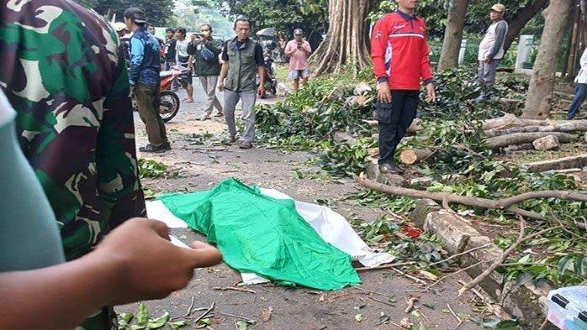 Rafly Rasenzani (24), warga asal Batu Tulis, Kecamatan Bogor Selatan, Kota Bogor tewas tertimpa dahan pohon angsana berukuran besar di Jalan Tentara Pelajar, Kecamatan Tanah Sareal, Kota Bogor, Jumat (1/11/2024) sekitar pukul 15.00 WIB.