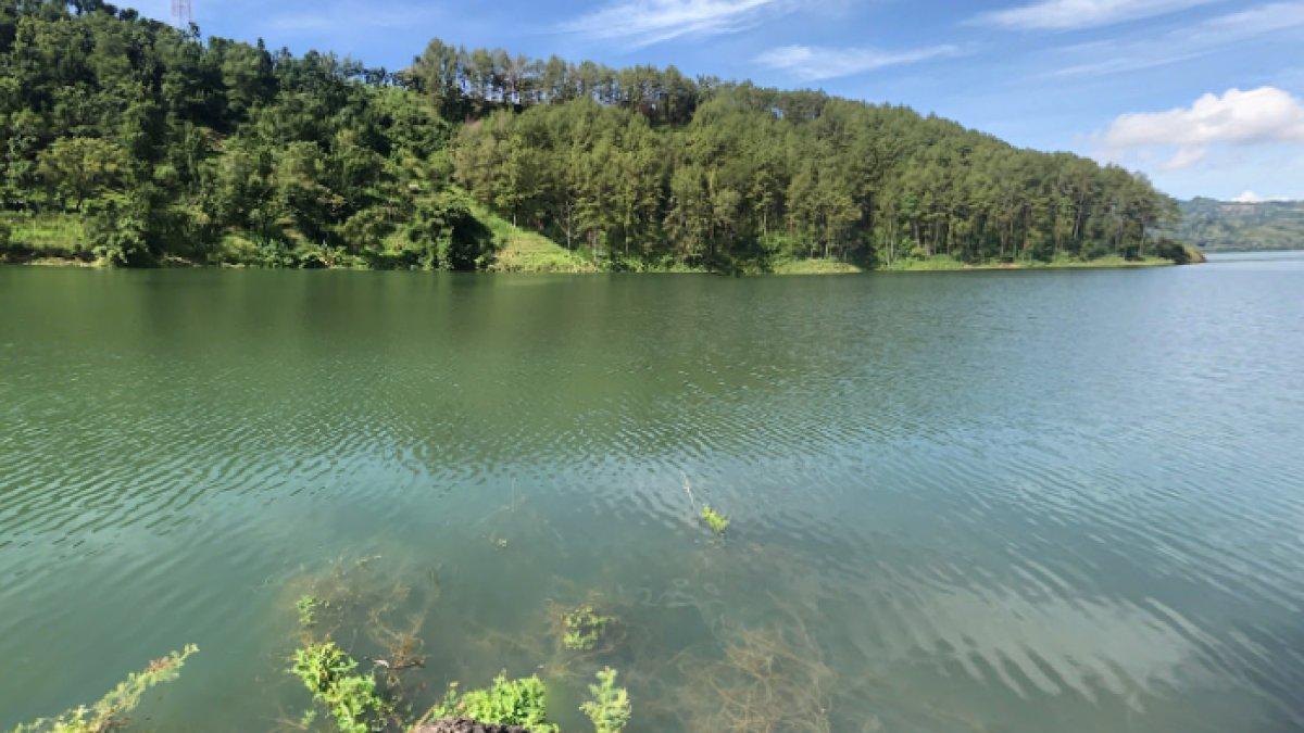 WISATA AIR - Potret Ranu Gumbolo diambil dari Google Street View pada Selasa (15/4/2025). Ranu Gumbolo terletak di Kabupaten Tulungagung, Jawa Timur.
