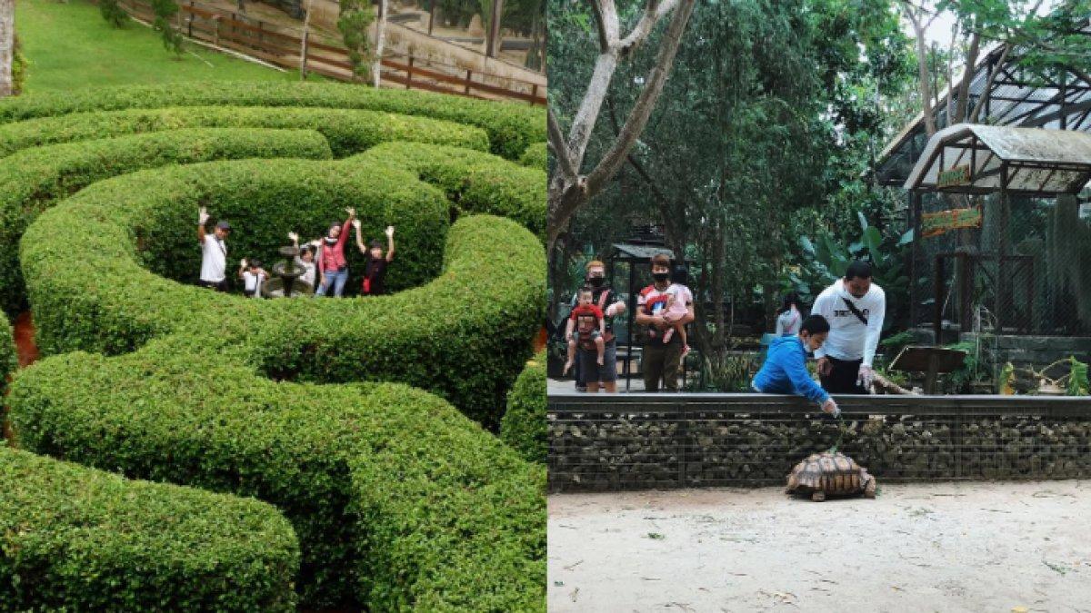WISATA MENARIK - Potret Rumah Ulin Arya diambil dari Instagram pada Selasa (13/5/2025). Rumah Ulin Arya terletak di Jalan Teluk Batu, Desa Bayur, Kelurahan Sempaja Utara, Kecamatan Samarinda Utara, Kota Samarinda, Kalimantan Timur.
