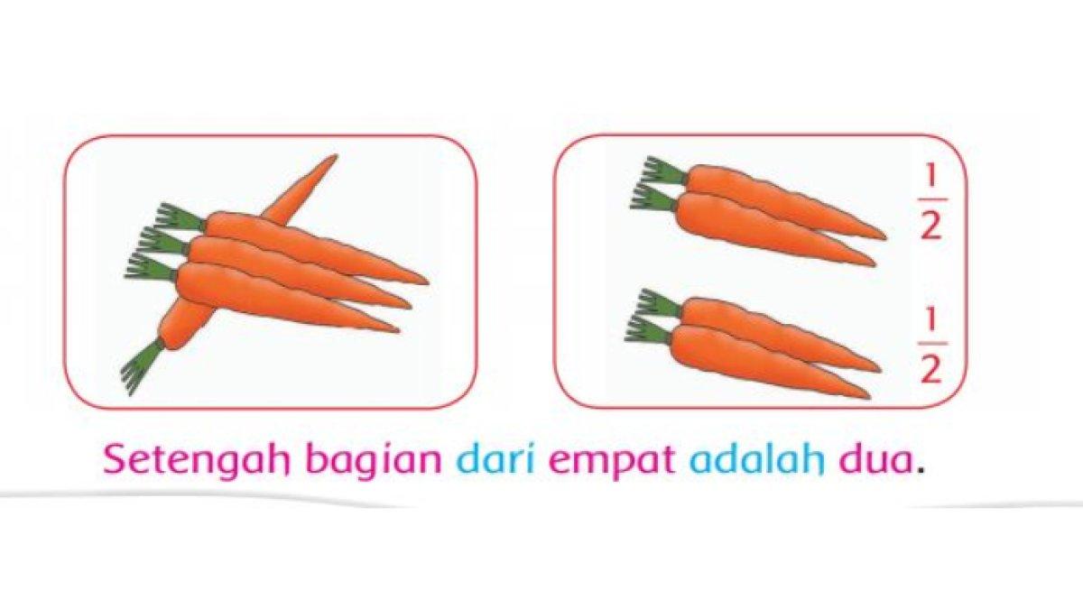 Rusa jantan diberi dua wortel, rusa betina diberi dua wortel.