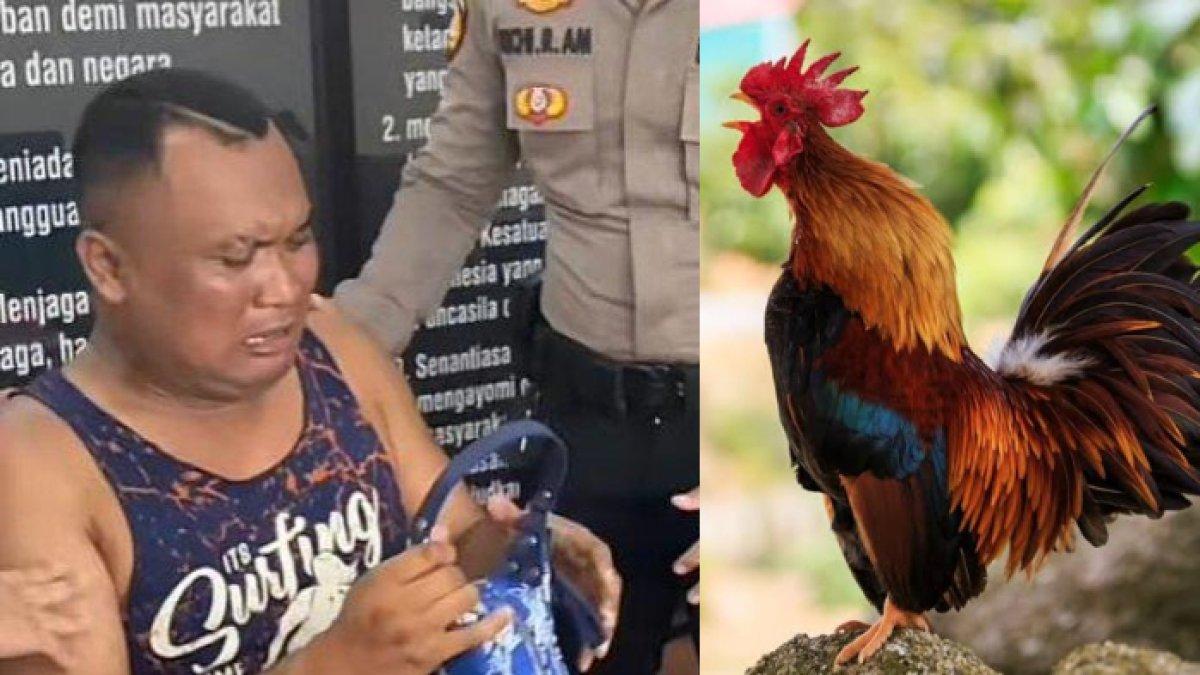 SOSOK Adi Sudirja, pria nangis kejer di kantor polisi lapor ayamnya hilang, ternyata seorang MC dan kreator konten