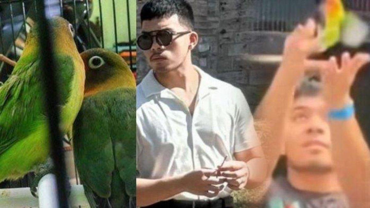 Saaih Halilintar dihujat soal konten Love Bird