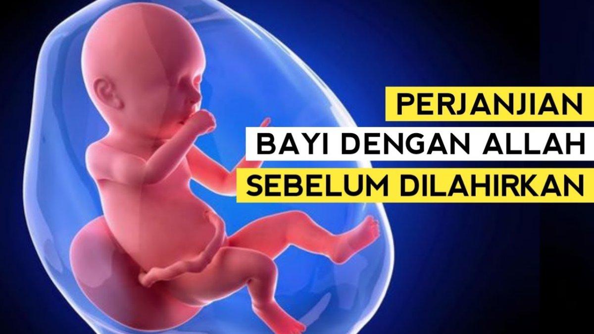 Sebelum lahir ke dunia ternyata manusia sudah mengadakan perjanjian dengan Allah