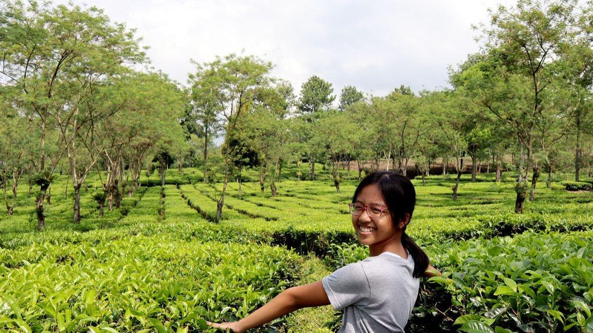 WISATA DI MALANG - Sekar Ayu Saraswati salah satu pengunjung Wisata Agro Wonosari berfoto berlatar belakang kebun teh.