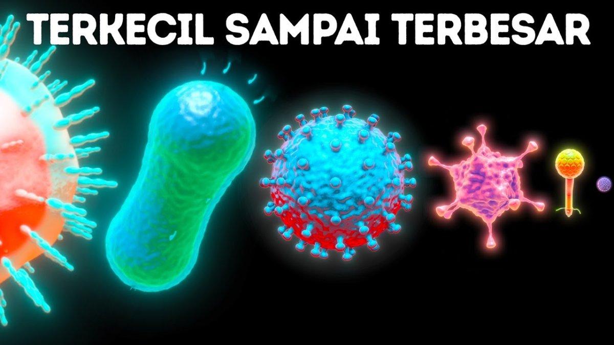Mengapa Sel-sel Dalam Tubuh Manusia Memiliki Bentuk Yang Sangat Kecil