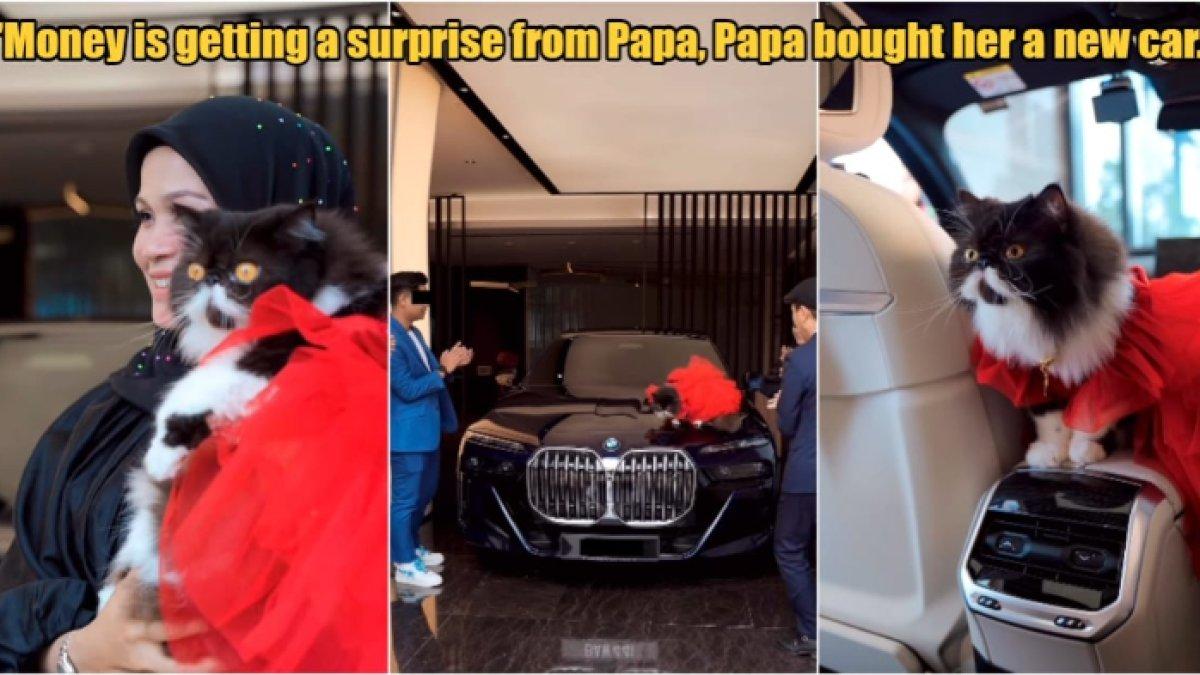 Selebgram Haliza Maysuri beri hadiah mobil BMW untuk kucing kesayangannya, warganet iri dan mengecam