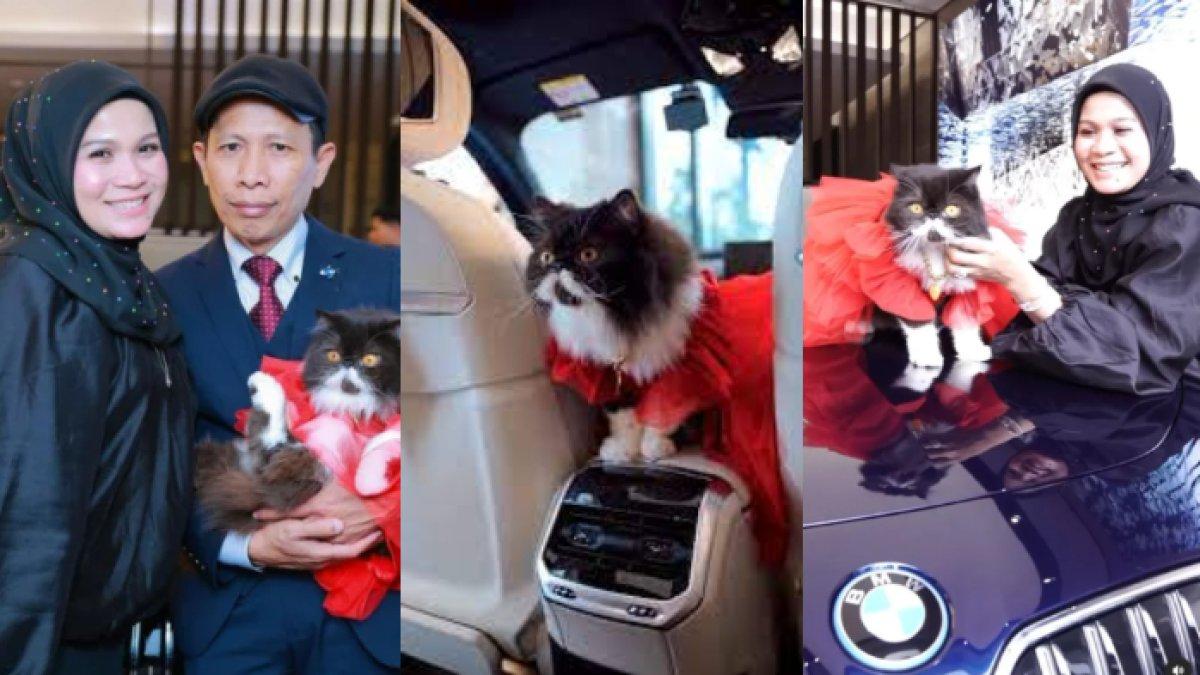 Selebgram sekaligus pebisnis ini beri hadiah mobil BMW untuk kucing kesayangannya.