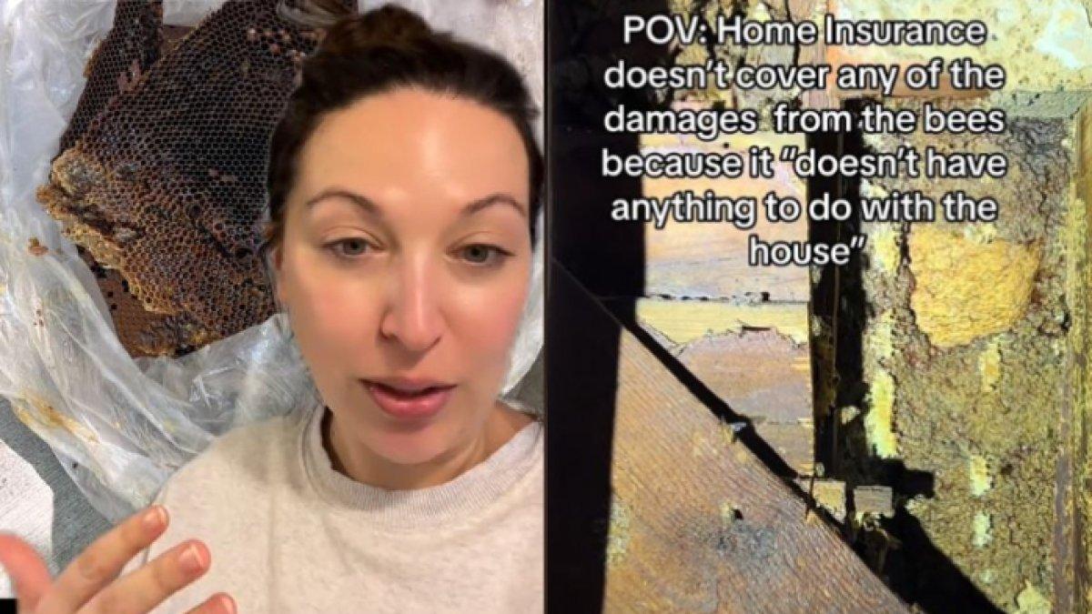 Seorang anak mengaku sering mendengar bunyi dari bali dinding kamarnya, dia mengira ada monster.