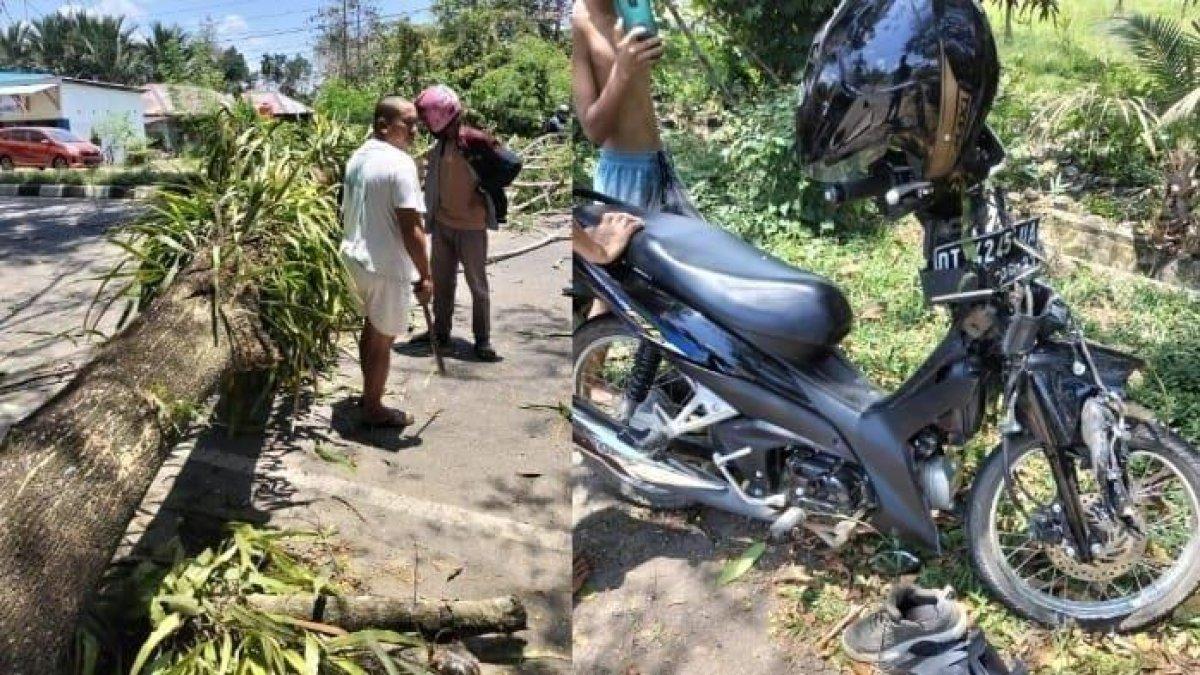 Seorang ayah dan anaknya meninggal dunia setelah sepeda motor yang mereka kendarai tertimpa pohon di Kota Sabang, Minggu (24/12/2023). Peristiwa itu terjadi saat hujan deras disertai angin kencang yang melanda Sabang.