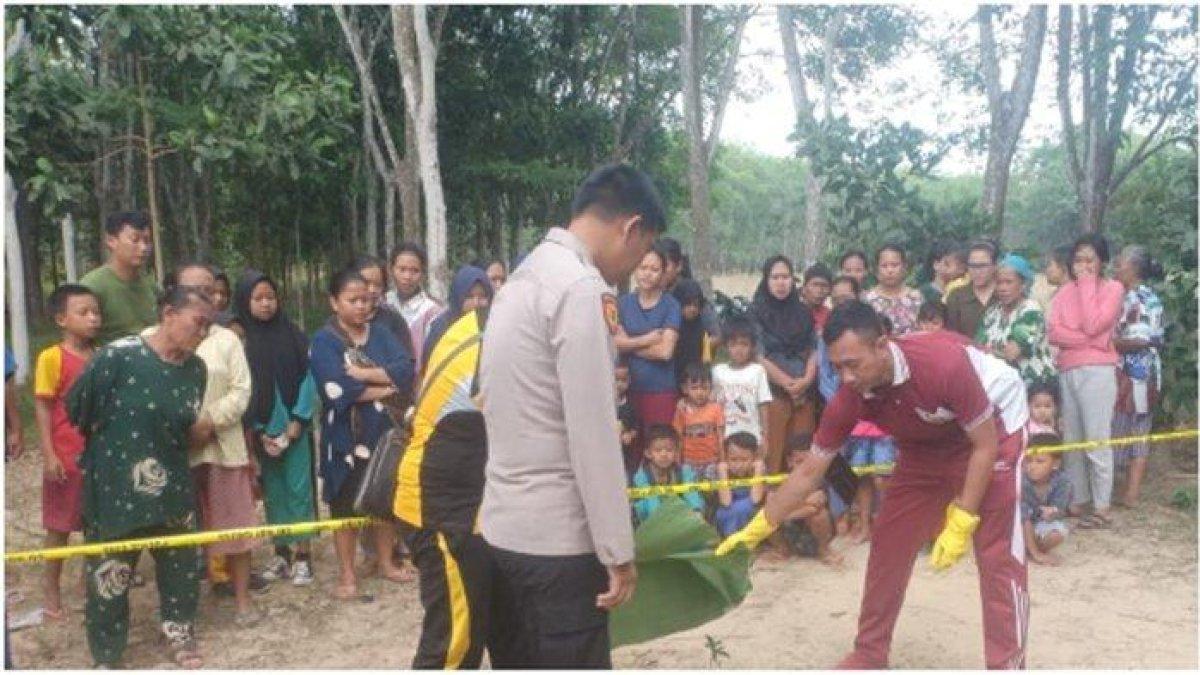 Seorang ibu muda membunuh bayi yang baru dilahirkannya di Desa Dabuk Makmur Mesuji Raya OKI, dibuang di pekarangan rumah tetangga. Petugas saat mengevakuasi jenazah bayi, Jumat (25/8/2023).