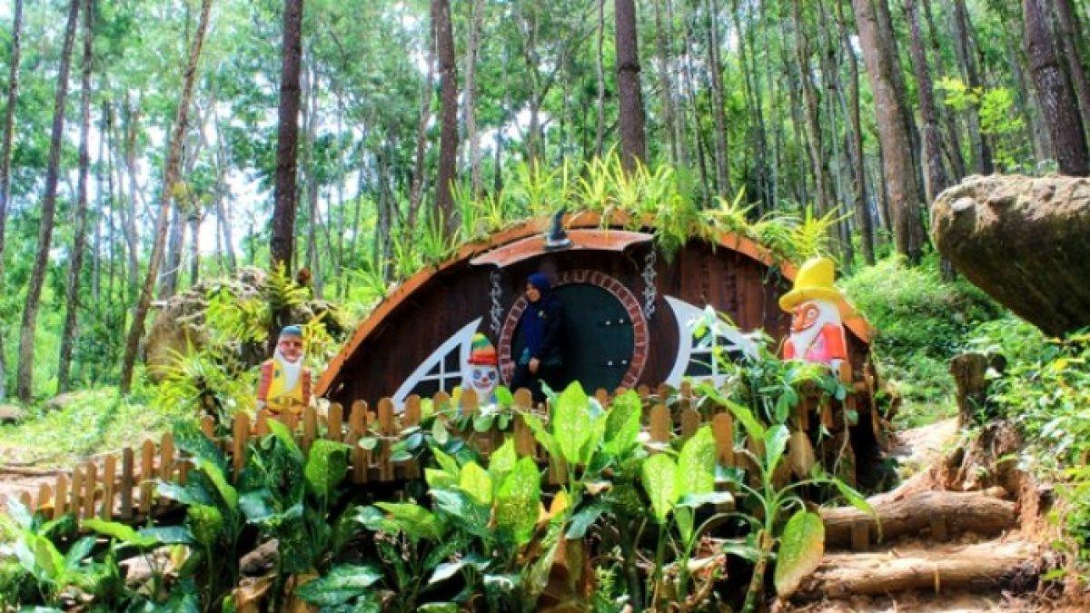 WISATA ALAM - Potret Seribu Batu Songgo Langit disadur dari TribunJogja.com pada Senin (21/4/2025). Seribu Batu Songgo Langit berada di Bantul, Yogyakarta.