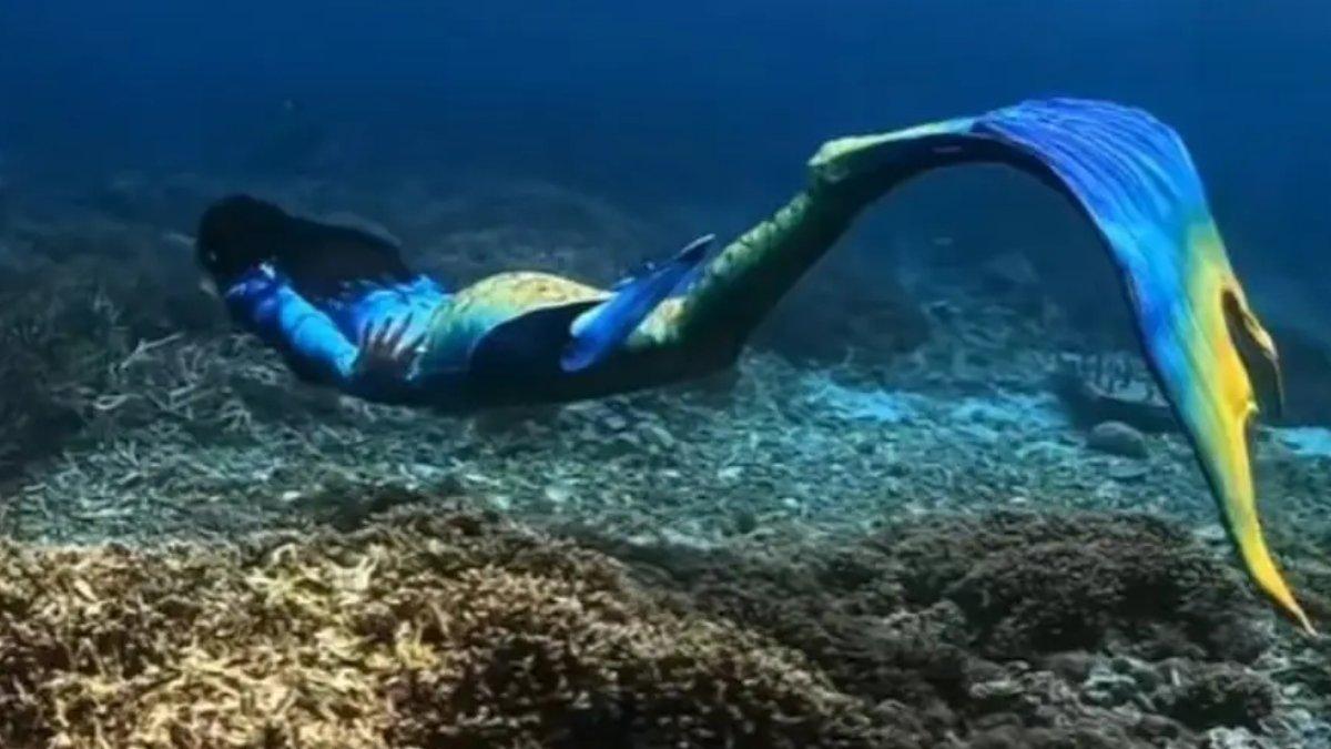 GUBERNUR SHERLY TJOANDA - Sherly Tjoanda sat mengenakan kostum putri duyung dokumen TikTok (23/4/2025). Sherly Tjoanda memiliki hobi free diving.