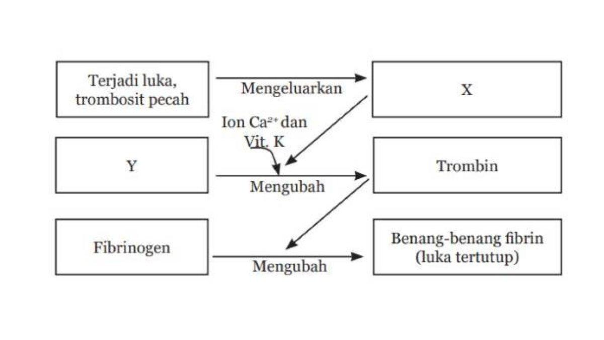 Soal IPA kelas 8 halaman 283 Kurikulum 2013 (1)