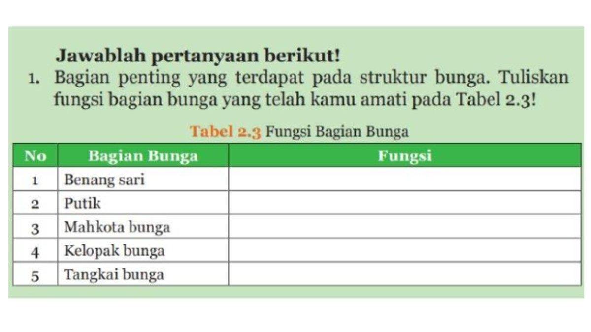 ILUSTRASI KUNCI JAWABAN: Soal halaman 65 di buku IPA kelas 9 Aktivitas 2.2 Mengamati Struktur Bagian Bunga