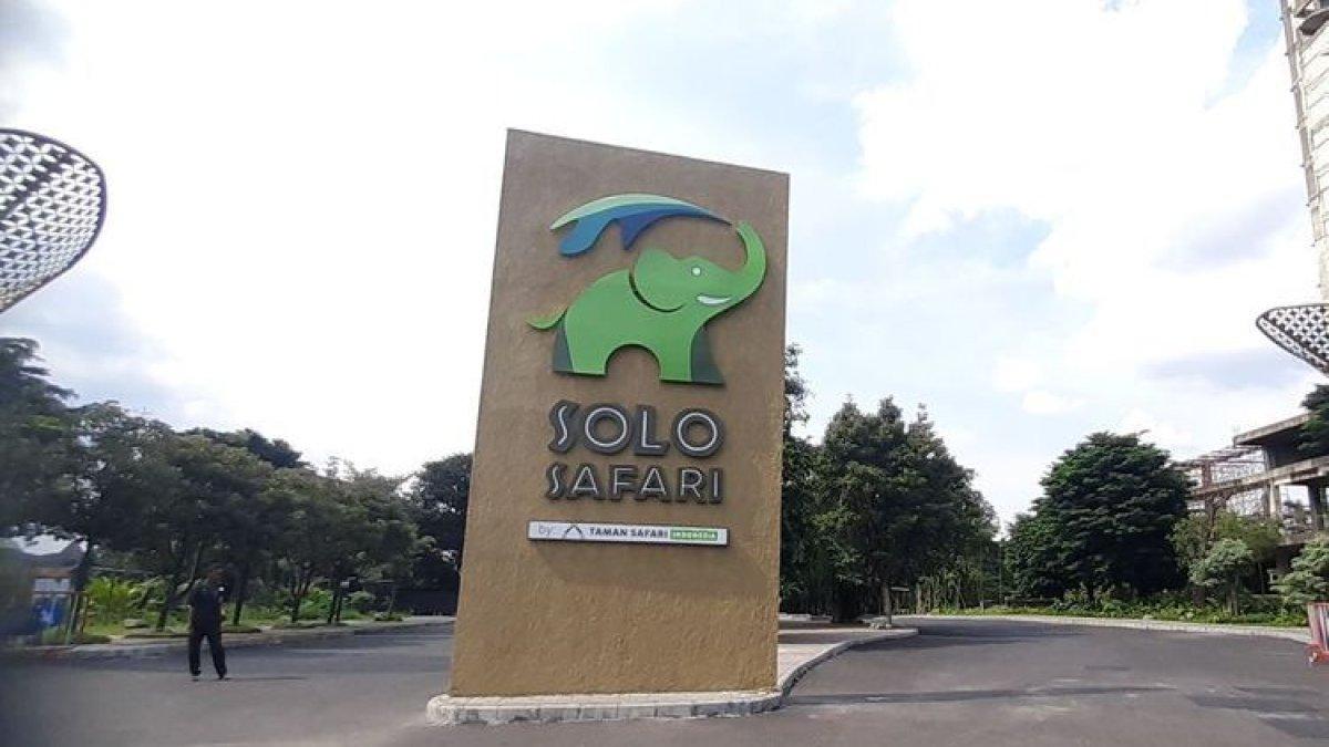 WISATA SOLO: Solo Safari di Kecamatan Jebres, Solo, Jawa Tengah