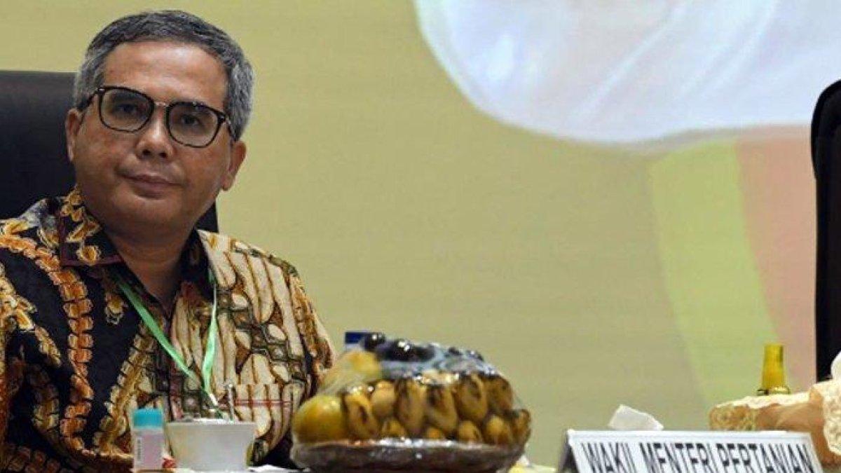 Sosok dan Profil Wakil Menteri (Wamen) Pertanian Harvick Hasnul Qolbi.