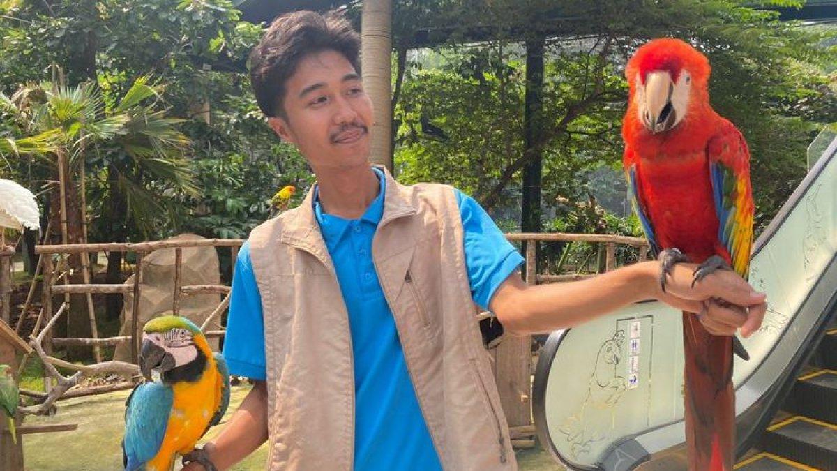 Suasana di tempat rekreasi Jakarta Bird Land di Ancol, Jakarta Utara, Selasa (27/6/2023)