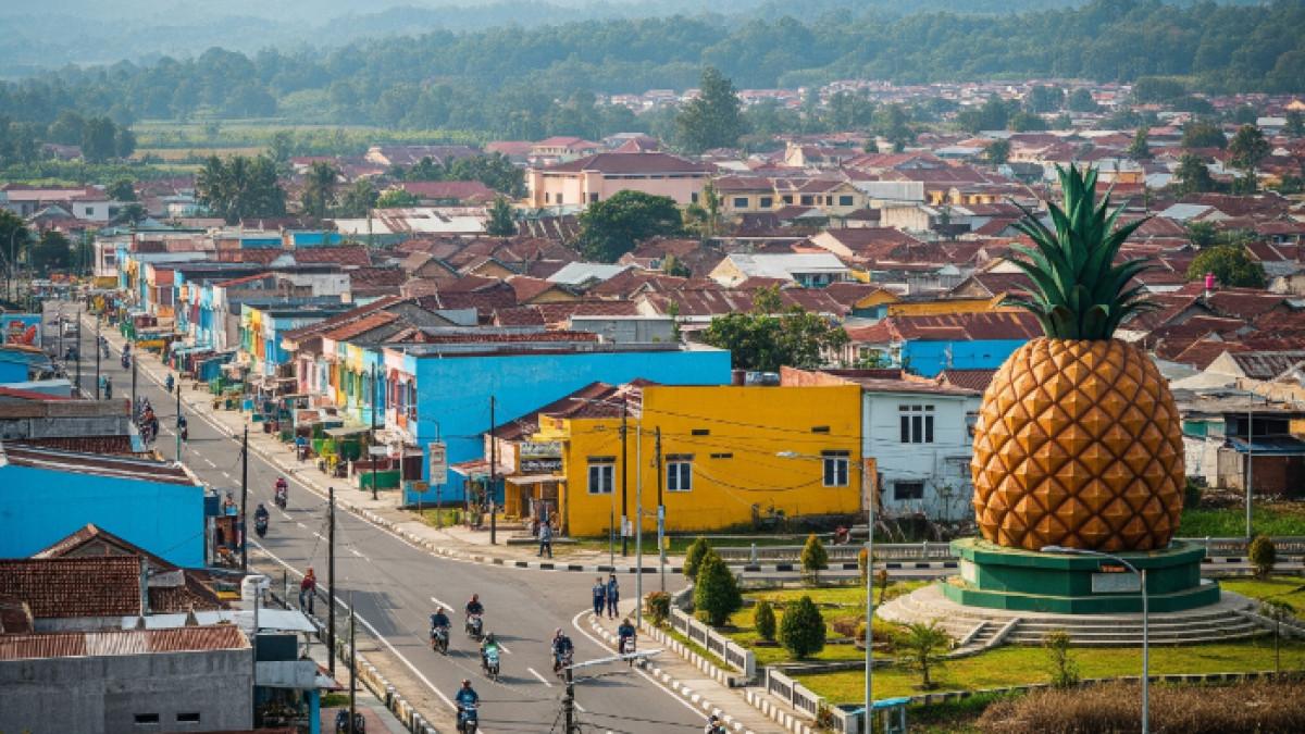 Samai skor Majalengka tapi masih kalah dari Bogor dan Garut, inilah daerah yang menduduki peringkat 10 kabupaten paling maju di Provinsi Jawa Barat versi IDSD 2024, dijuluki Kota Nanas yakni Subang (ilustrasi)