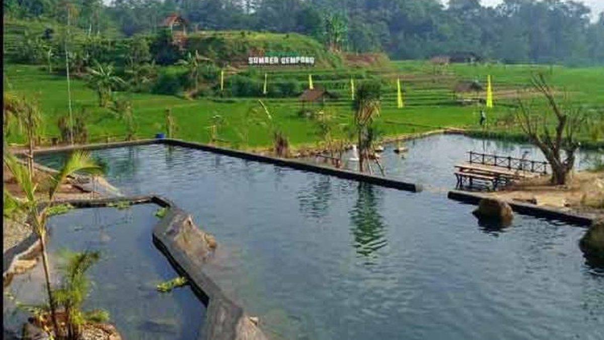 WISATA MOJOKERTO: Sumber mata air alami yang tidak pernah kering di Wisata Sawah Sumber Gempong Mojokerto