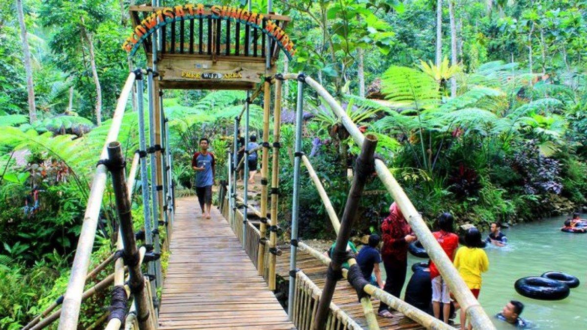 WISATA AIR - Potret Ekowisata Taman Sungai Mudal disadur dari TribunTravel.com pada Kamis (6/3/2025). Sungai Mudal menawarkan panorama air terjun yang bertingkat-tingkat.