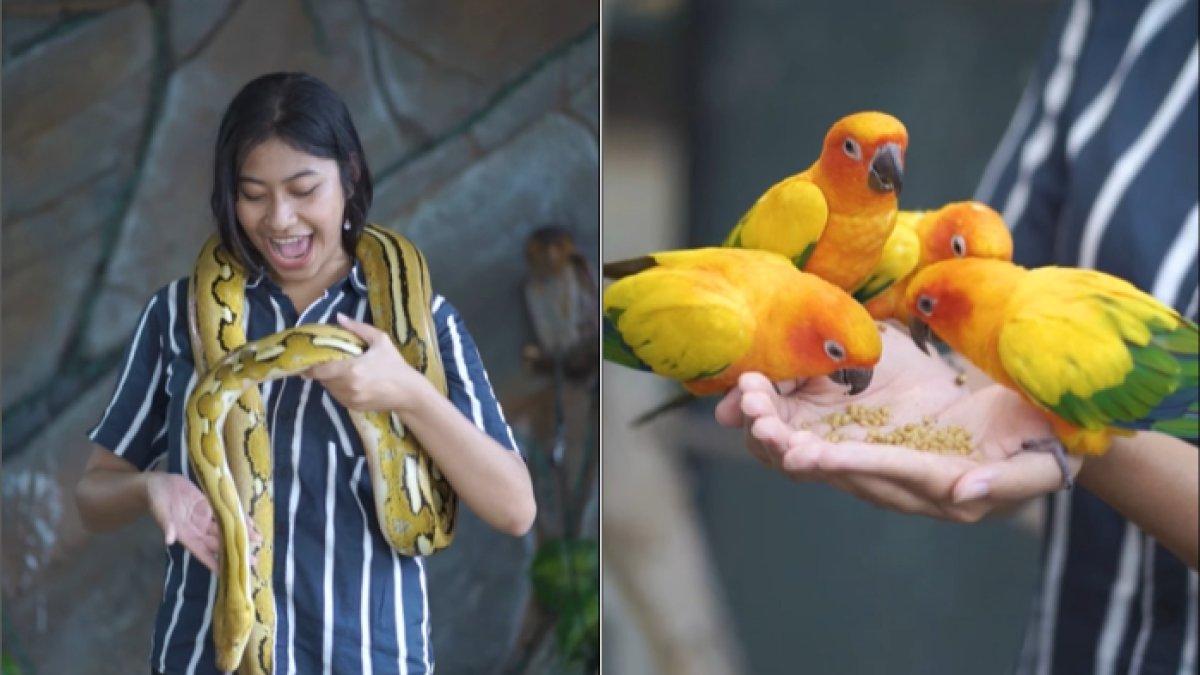 WISATA SERU - Potret Suraloka Interactive Zoo diambil dari Instagram pada Kamis (10/4/2025). Suraloka Interactive Zoo berlokasi di daerah Kaliurang, Sleman, Yogyakarta.