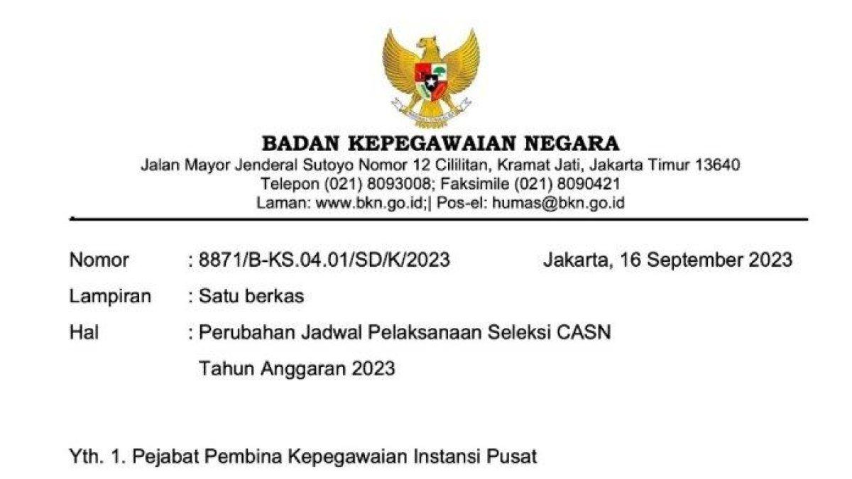 UPDATE Jadwal Terbaru CPNS 2023, Tinggal 8 Hari Lagi Dibuka, Segera