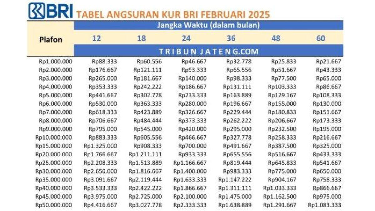 TABEL KUR BRI - Tabel pinjaman KUR BRI 2025 Rp 1 Juta - Rp 50 Juta periode Februari 2025 (Tribun Jateng)