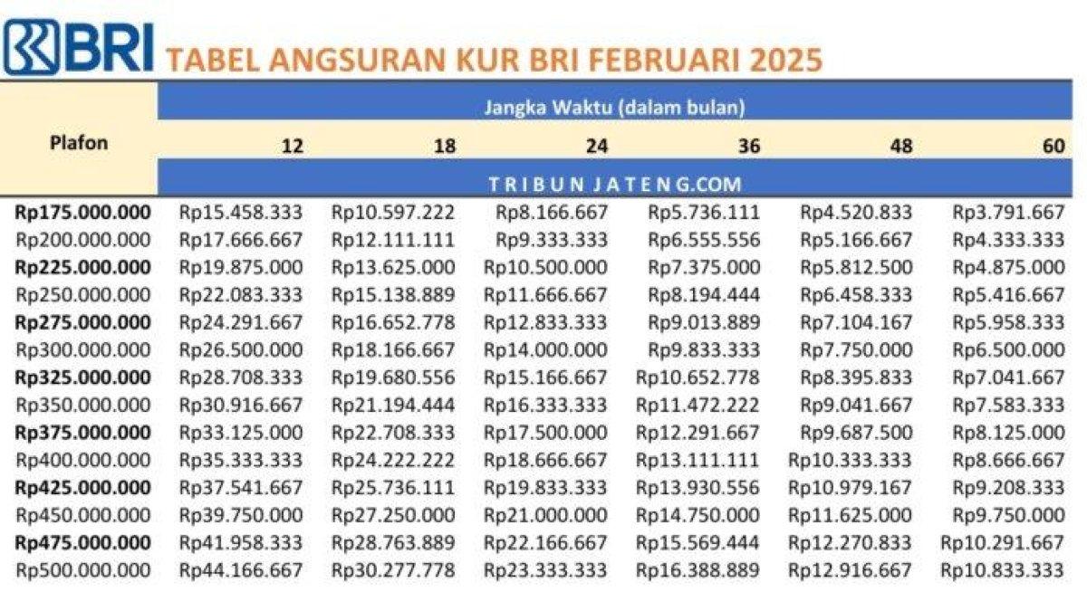 TABEL KUR BRI - Tabel pinjaman KUR BRI 2025 Rp 175 Juta - 500 Juta periode Februari 2025 (Tribun Jateng)