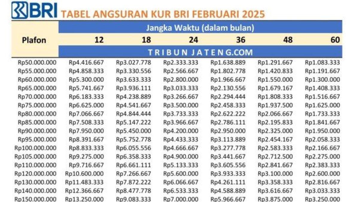 TABEL KUR BRI - Tabel pinjaman KUR BRI 2025 Rp 50 Juta - Rp 150 Juta periode Februari 2025 (Tribun Jateng)