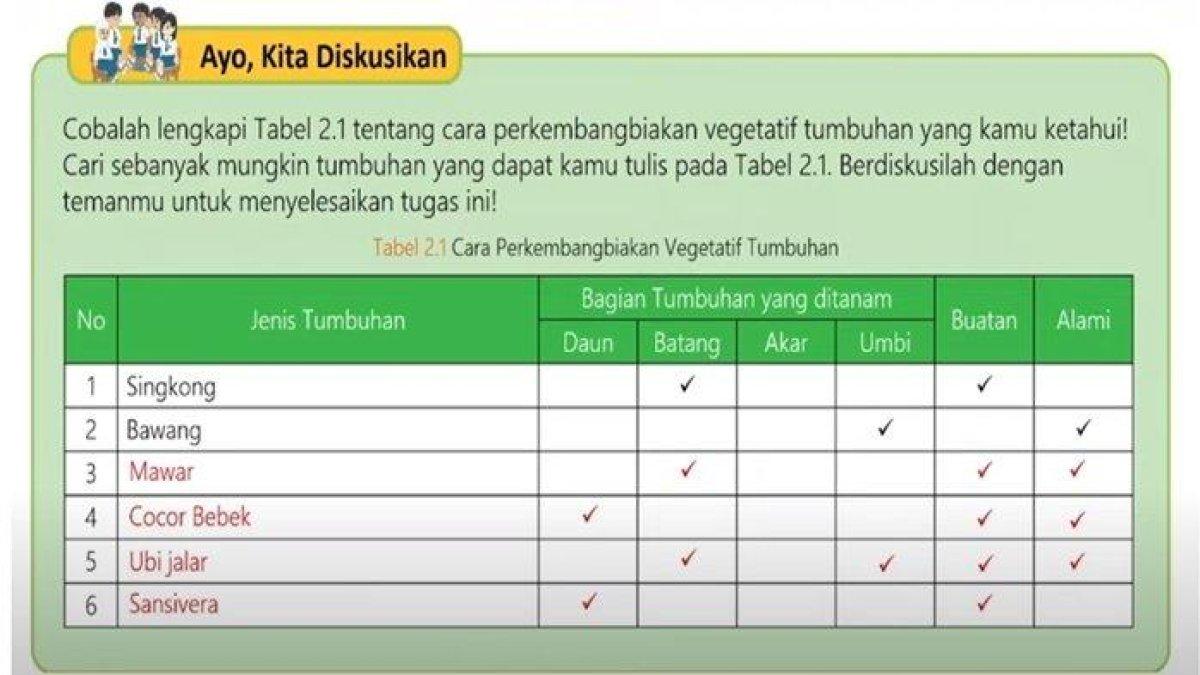 Tabel 2.1 cara perkembangbiakan vegetatif tumbuhan