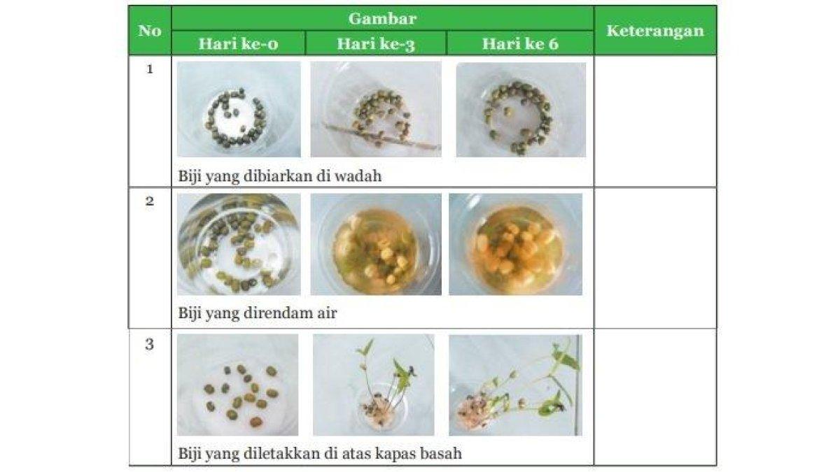 Tabel 2.6 pada buku IPA kelas 9 halaman 76