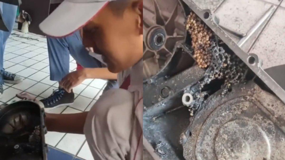 Tak pernah diservis, motor milik wanita ini sampai jadi sarang tawon di bagian mesin