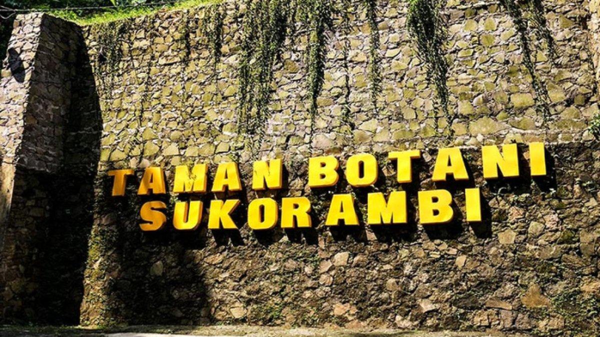 WISATA ALAM - Potret Taman Botani Sukorambi disadur dari Kompas.com pada Sabtu (26/4/2025). Taman Botani Sukorambi beralamat di Jl. Mujahir, Krajan, Sukorambi, Kecamatan Sukorambi, Kabupaten Jember.