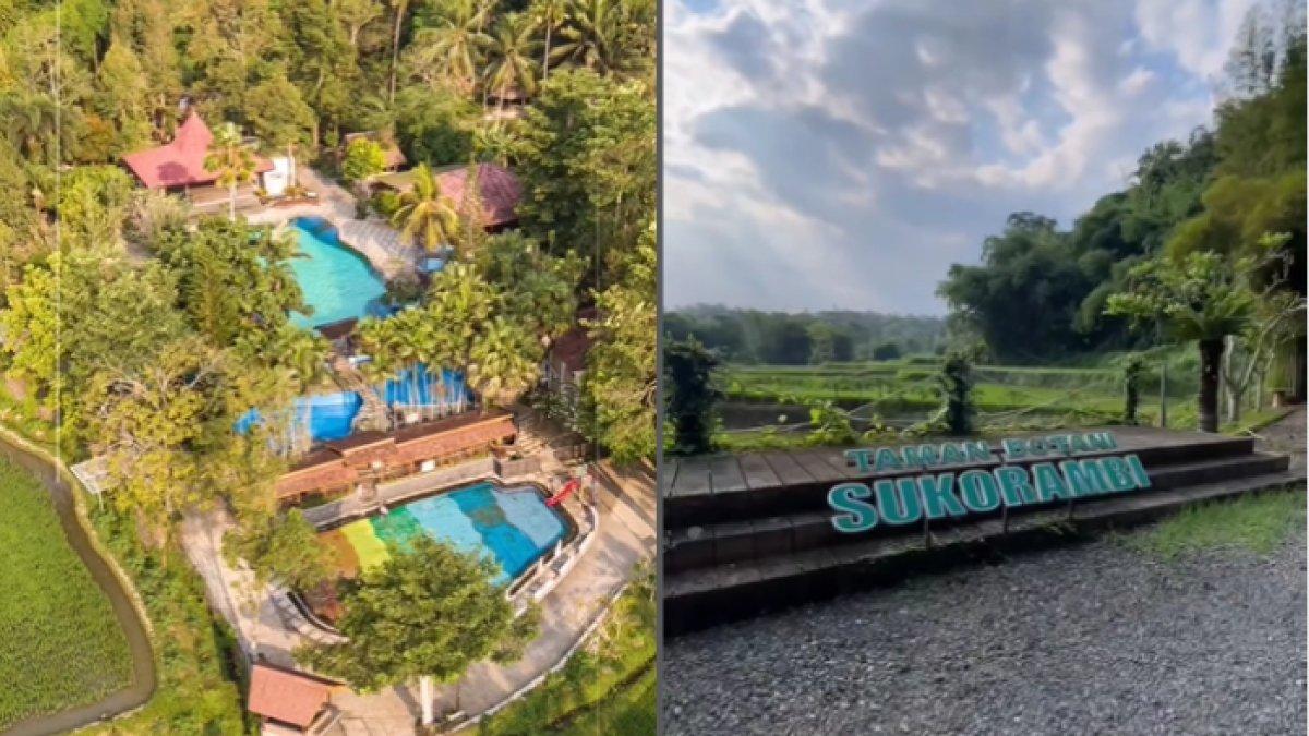 WISATA ALAM - Potret Taman Botani Sukorambi diambil dari Instagram pada Sabtu (26/4/2025). Taman Botani Sukorambi berada di Kabupaten Jember, Jawa Timur.